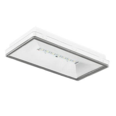 ONTEC S M1 CBM W